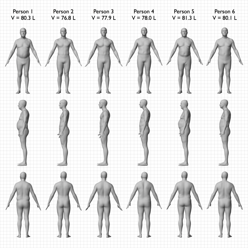 These are body models created from 3D body scans of various people. Each of these people are 1.75m tall and weigh 78kg (after being rounded to the nearest cm and kg), resulting in a BMI of 25.5. This means they barely fall into the “overweight” BMI category. Each person’s volume was digitally calculated using their body model.