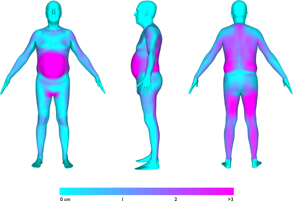 A heatmap comparison of person 2 to person 1. The heatmap coloring represents the point-to-point distances between the same points on both of their bodies (i.e. navel to navel). Blue means their bodies were the same, and hot pink means they differed greatly. You can see their bodies varied most in their stomachs, backs, back of legs, and leg lengths (as represented by the crotch area coloring).