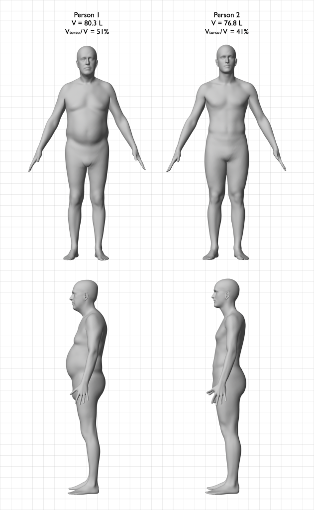 An enlarged view of person 1 and 2. Their torsos were separated out from their bodies so that the volumes could be measured independently. The six people had an average Vtorso/V of 46%.